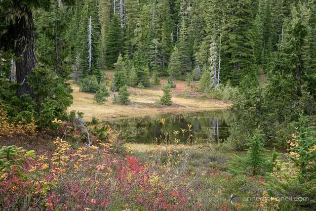 如何利用前景 创造出有“深度”的图片
