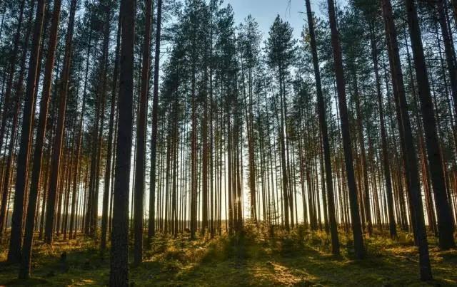 单反修炼秘籍之基本功与构图法（下）