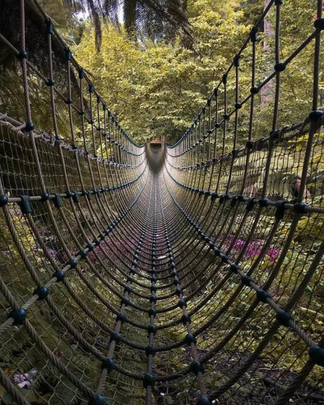 广角构图要这样拍，赞不绝口！