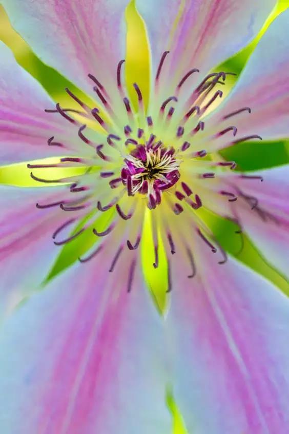 拍花 别只贪大光圈，用好小光圈更带感（上）