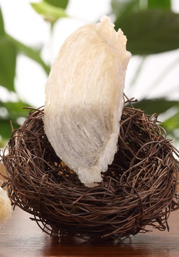 Brand birds nest product photography nourishing and nourishing ingredients shooting results