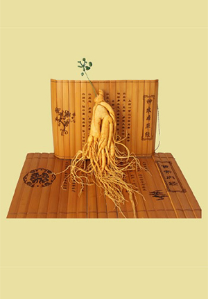 Birds Nest / Ginseng Health Products Photography Cuisine Product Photography Guangzhou E-commerce Ph